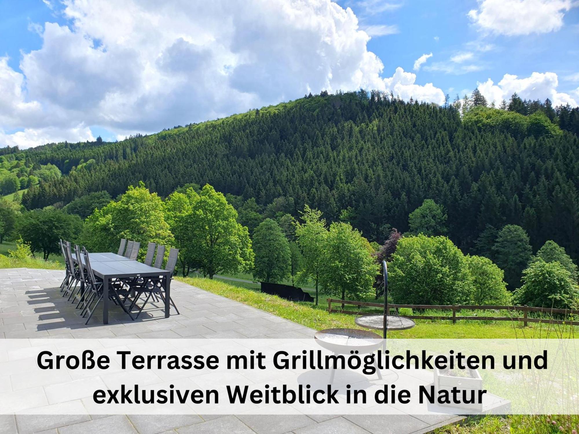 Ferienhaus Grimme - 350M2, 18 Betten - Mit Indoorspielplatz, Pool, Grosser Terrasse, Grill, Sauna, Kicker, Dart, Uvm - Ideal Fuer Familien Schmallenberg Ngoại thất bức ảnh